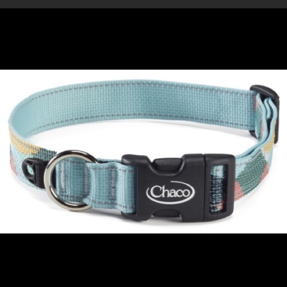 CHACO 🐕 dog Collar